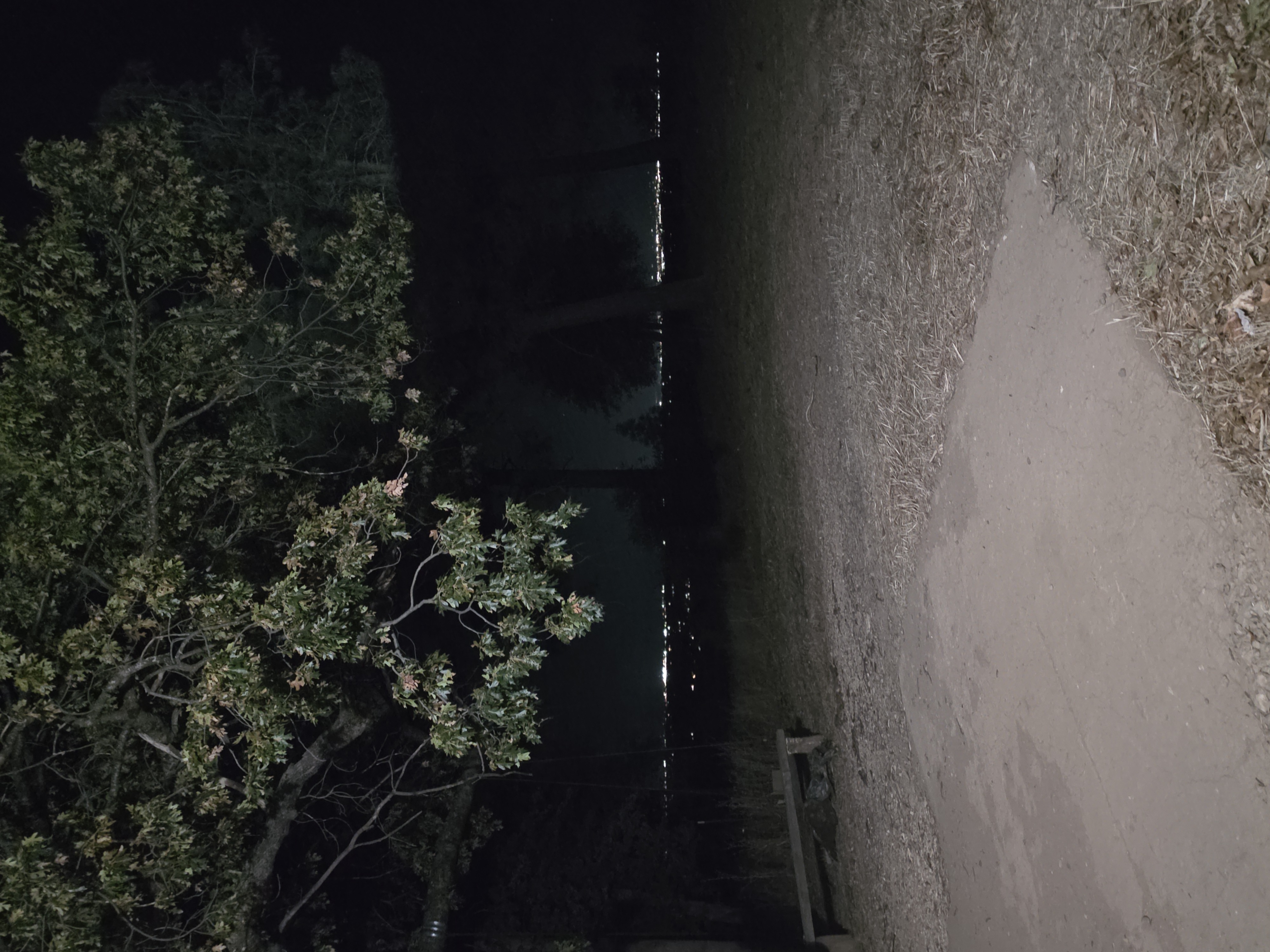 The property beneath the night sky